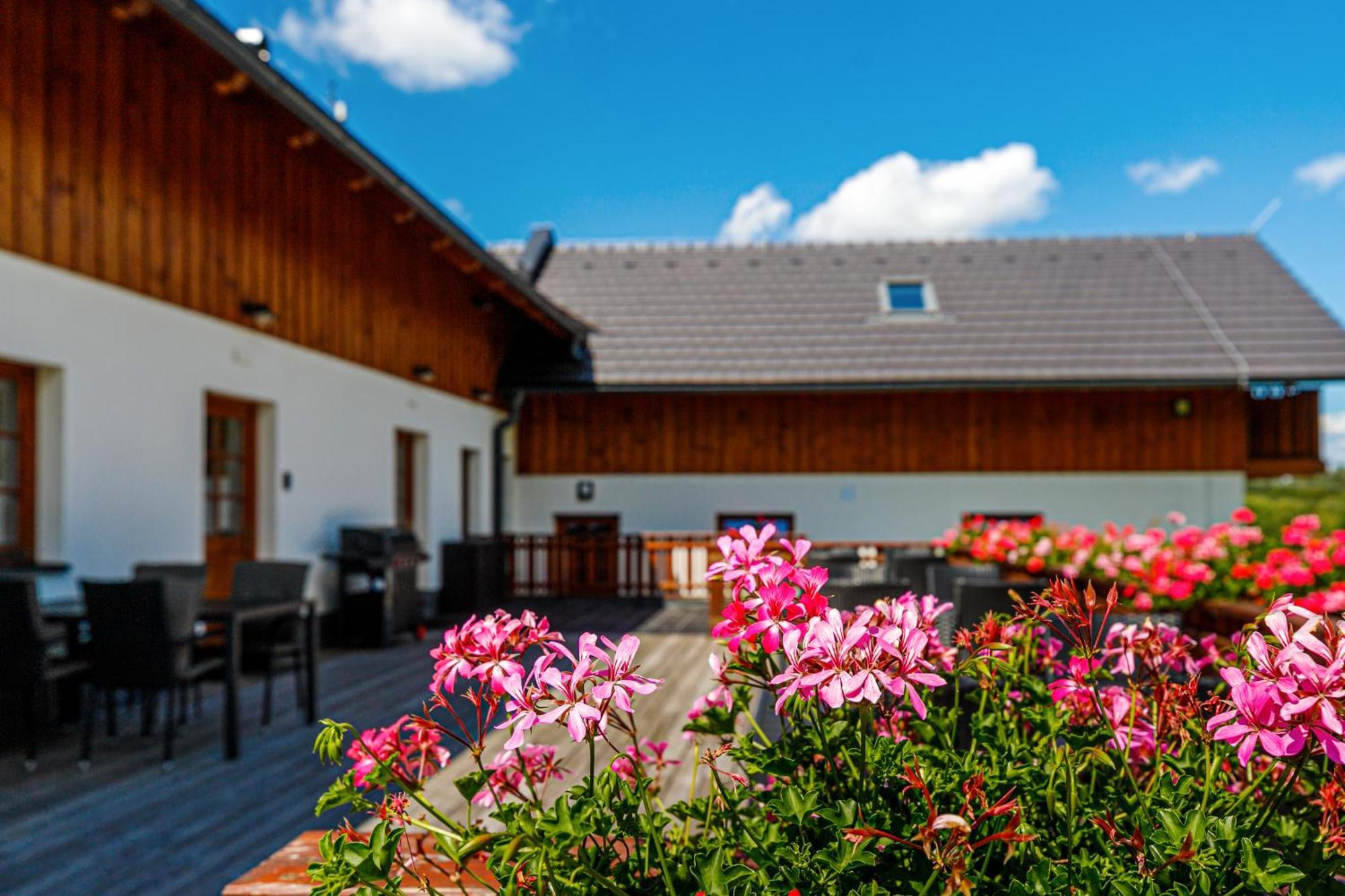 Penzion Stříbrník Krásná Exterior foto